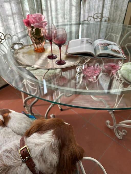 ☆Lovely View Of Florence In Stilish Designed Apt☆ Apartment Fiesole Ngoại thất bức ảnh
